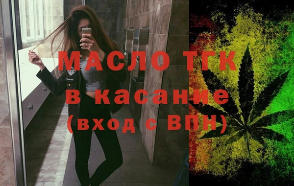сатива Сатка