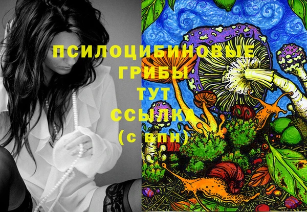 сатива Алексин