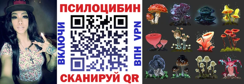 цены   Боровск  Галлюциногенные грибы Magic Shrooms 